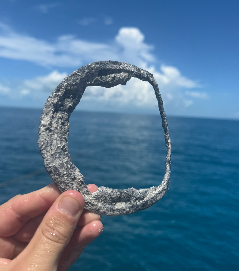 New Discovery on the Atocha Site