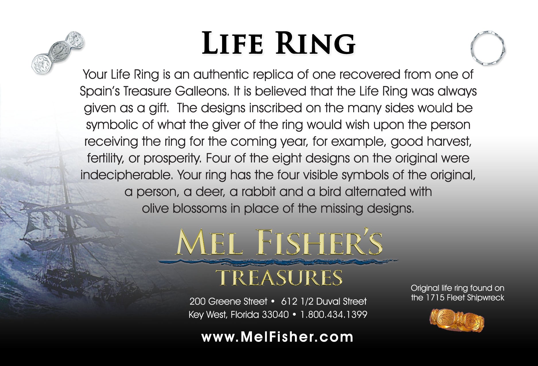 14K Gold Life Ring - Spanish Shipwreck Treasure Replica Jewelry | MFST