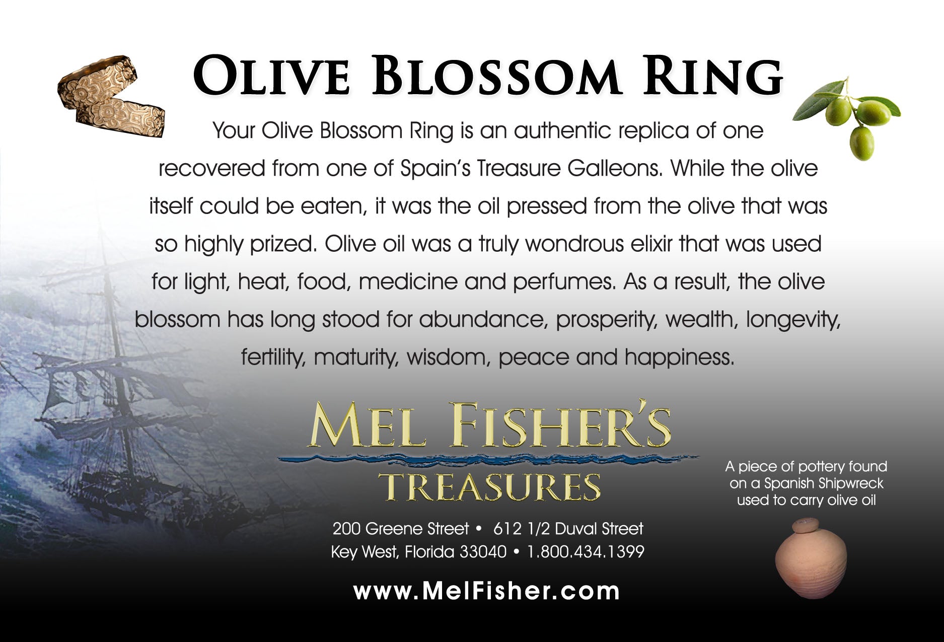 olive_ring_2048x.jpg?v=1668539197